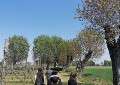 CANTINE CALEFFI visits to the fields