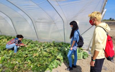 (English) Visit to the Nadalini Fruit and Vegetable Company – 01/10/2021