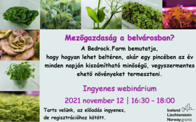(Magyar) Ingyenes webinárium 2021-11-12